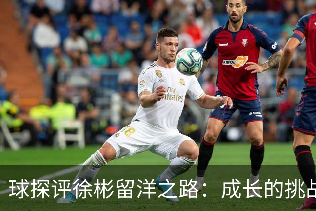 球探评徐彬留洋之路：成长的挑战与机遇并存